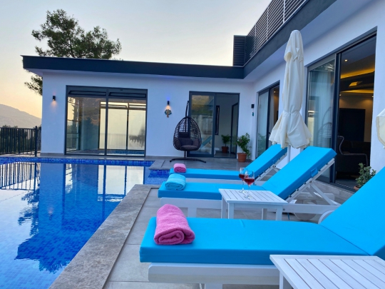 Villa Menekiş