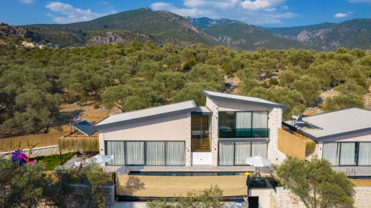 Villa Zen