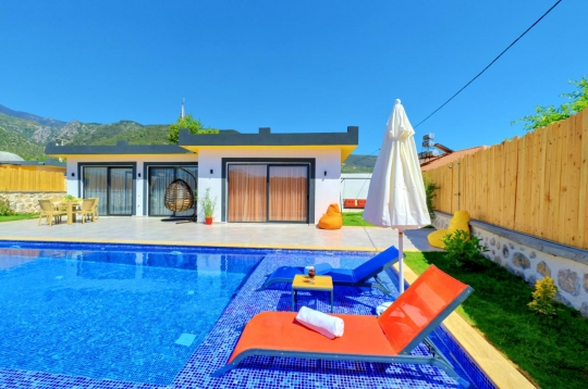 Villa Zeytin Tanesi
