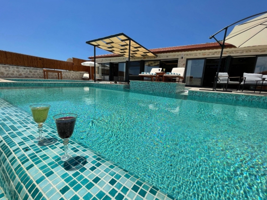 Villa Dublin